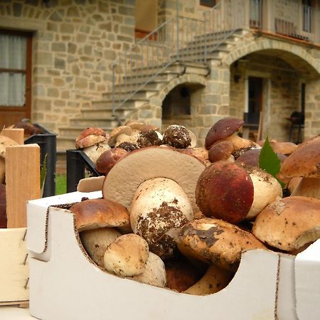La Casa Del Sarto - Federicofarm Villa Pontremoli Luaran gambar