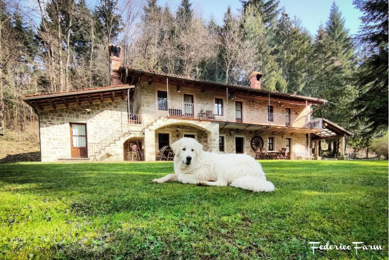 La Casa Del Sarto - Federicofarm Villa Pontremoli Luaran gambar