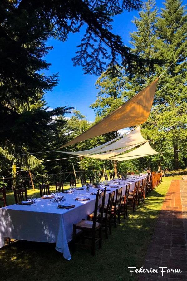La Casa Del Sarto - Federicofarm Villa Pontremoli Luaran gambar