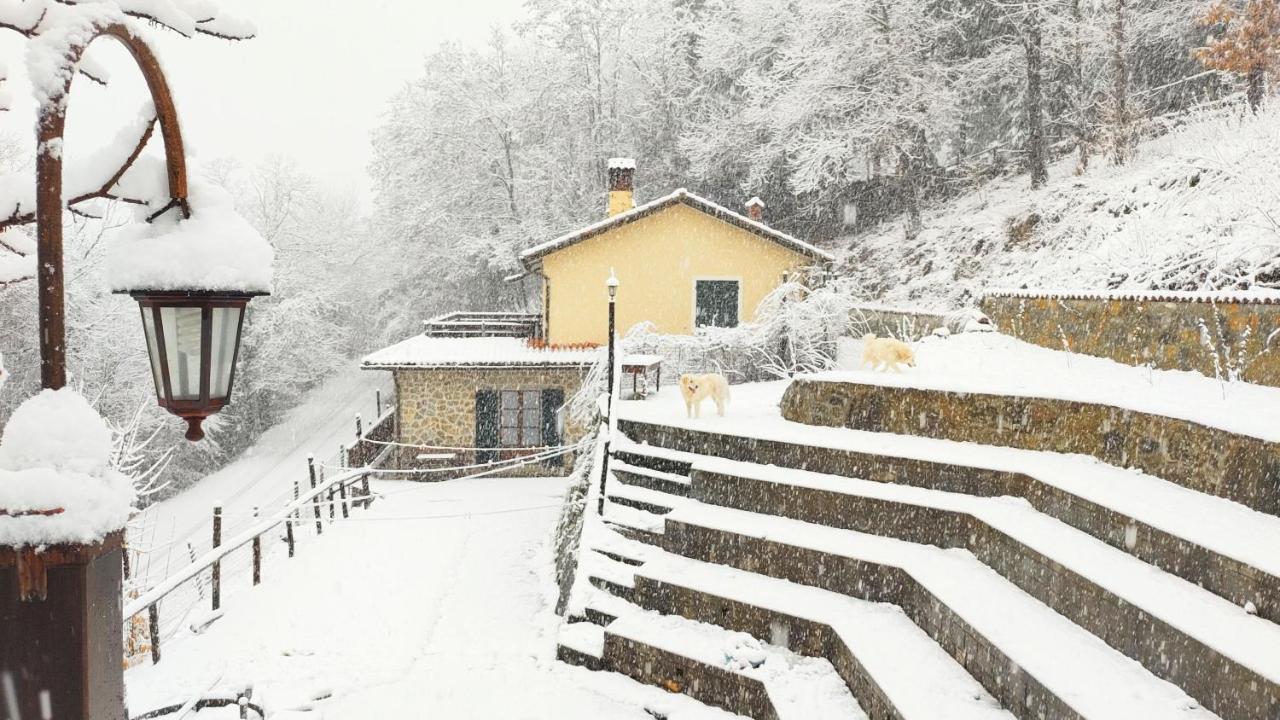 La Casa Del Sarto - Federicofarm Villa Pontremoli Bilik gambar